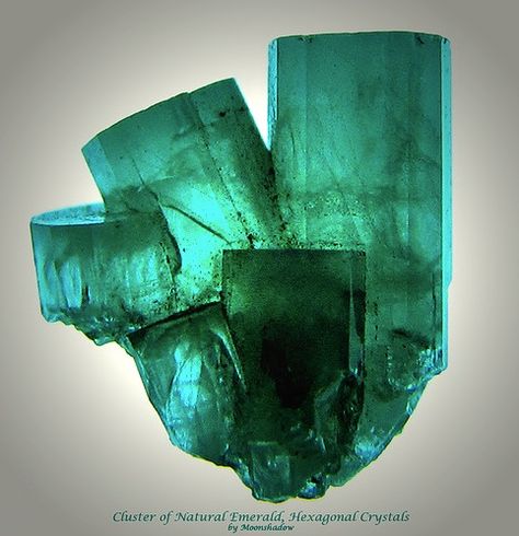 Cluster of Natural Emerald, Hexagonal Crystals by Moonshadow-, via Flickr.  It's tough to find translucent to clear emerald.  Gorgeous specimen. Pretty Rocks, Beautiful Rocks, Mineral Stone, Rocks And Gems, Minerals And Gemstones, Emerald Gemstone, Gems And Minerals, Stone Rocks, Green Crystals