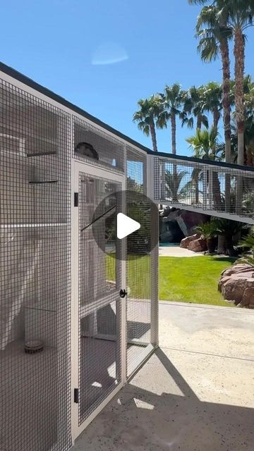 CatioGuy on Instagram: "Maple amd Raja are living the dream in their Las Vegas catio. 🐱 This is one of my favorite catios of all time! 😻 Not seen are siblings Scar, Nala, Dolcetto, Brix, Tuba, Hope, Sollux, Hero, and Luci.   Sorry Vegas residents, but this is a one-off build. We only work in Southern California.   #catioguy #catification #cathouse #cathouses #catplayground #catplaygrounds #cathome #cathomes #catio #catios #customcatio #customcatios #catinspiration #catlife #catlifestyle #catenclosure #catenclosures #catstructure #catstructures #cat #cats #catsofinstagram #catvideooftheday #meow #meowmonday #catsoftheworld" Cat Cage Ideas Outdoor, Cat Garage Ideas, Outdoor Catio Cat Enclosure, Catio Attached To House, Cat Outside House, How To Build A Catio For Cats, Cat Catio Enclosure, Cat Inclosers Outside, Cat Enclosure Outdoor Diy