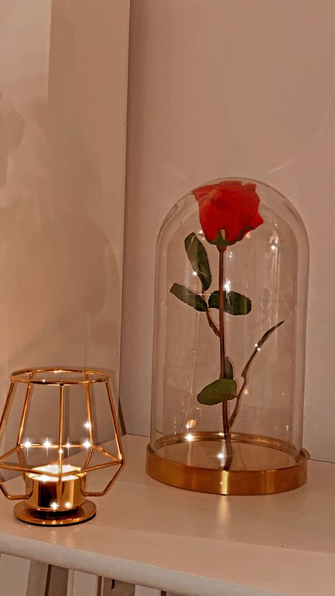 Rose Gold Room Aesthetic, Red Roses Bedroom Decor, Rose Petals And Candles Bedroom, Rose Theme Bedroom, Rose Theme Room, Disney Aesthetic Bedroom, Rose Themed Room, Romantic Academia Aesthetic Room, Red Candles Aesthetic