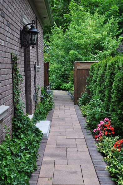 ideas for that narrow space in between suburban homes, flowers, gardening, hydrangea, landscapes Side Yard Pavers Pathways, Narrow Garden, Walkway Landscaping, Side Yard Landscaping, Pathway Landscaping, Brick Walkway, Walkways Paths, Side Yards, Flowers Gardening