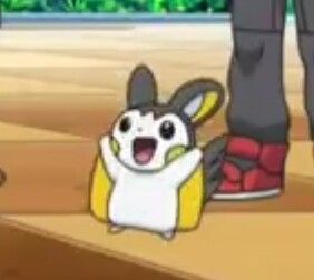 Emolga Pfp, Emolga Pokemon, Cute Pokemon Pfp, Pokemon Emolga, Funny Pokemon Pictures, Wallpaper Pokemon, Pokemon Show, Gotta Catch Them All, Pokemon Wallpaper