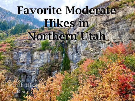 Here are some of Utah Hiking Beauty’s very favorite moderate hikes in Utah County, Salt Lake County, Wasatch and Weber Counties. Northern Utah Hikes, Breckenridge Colorado Summer, Hikes In Utah, Utah Hiking, Fall Hikes, Northern Utah, Colorado Summer, Logan Utah, Utah Hikes