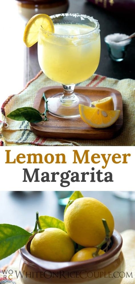 meyer lemon margarita recipes Margaritas, Lemon Margarita Recipe, Lemon Margarita, Meyer Lemon Recipes, Margarita Drink, Lemon Drink, Best Cocktail Recipes, Margarita Cocktail, Drinks Alcohol