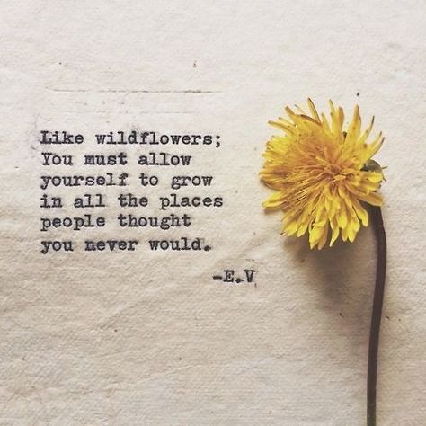 "Like wildflowers; you must allow yourself to grow in all the places people thought you never would"I think this all the time, but the way this is said is so much prettier l Visit HHS at www.HippiesHope.com Wild Flower Quotes, A Dandelion, Senior Quotes, Piece Of Paper, Flower Quotes, E Card, Wonderful Words, Quotable Quotes, A Quote