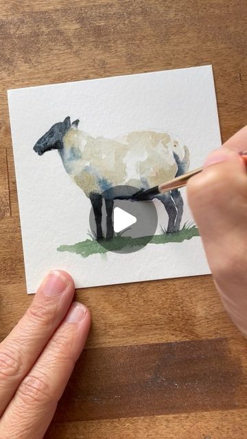 Sheep Watercolor, Color Tutorial, Animal Doodles, December 21, Coast To Coast, Watercolour Tutorials, Scrap Paper, Mini Paintings, Farm Animal