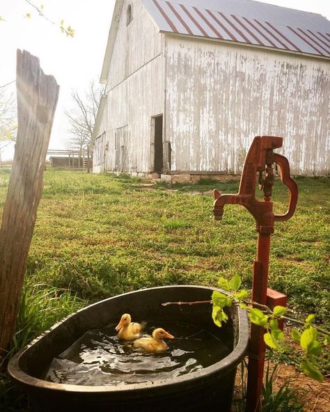 READ: People Who Live in Small Towns and Rural Areas are Happier Than Everyone Else, Researchers Say Living Aesthetic, Country Barns, Dream Future, Future Farms, Green Acres, Country Scenes, Farms Living, Green Valley, Down On The Farm