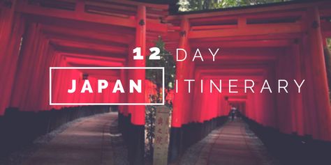 Summary of my 12 day trip to Japan including Osaka, Nara, Kyoto, Hiroshima, Miyajima, Tokyo & Hakone. Everything you need to know to plan your itinerary. Miyajima Japan, Osaka Kyoto Nara Itinerary, Mt Fuji Day Trip From Tokyo, Hiroshima Japan Travel, Hakone Day Trip From Tokyo, Japan With Kids, Tokyo Travel Guide, Japan Holidays, Japan Itinerary