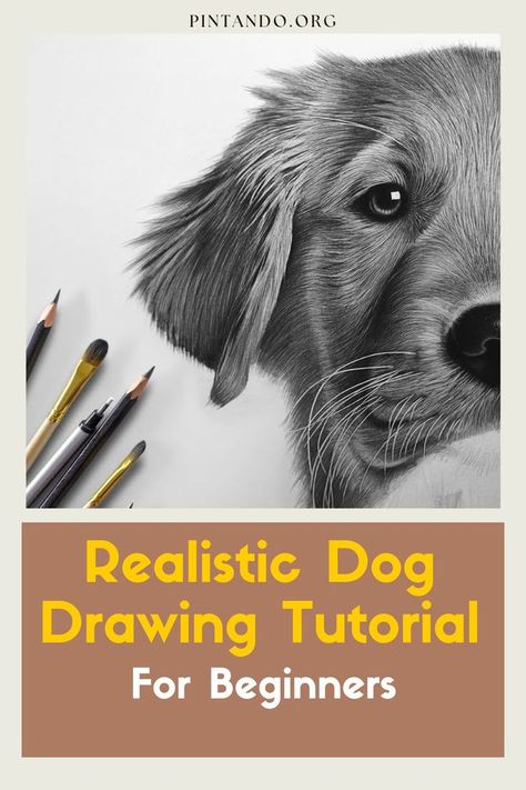 In this step-by-step video tutorial, we will guide you through the process of drawing a realistic dog, perfect for aspiring artists and beginners alike. From the wagging tail to the soulful eyes, capturing the essence of a canine companion on paper may seem daunting at first, but fear not! Our talented art instructor will walk you through every stroke, sharing invaluable tips and techniques that will make the process enjoyable and rewarding... Realistic Dog Drawing, Dog Pencil Drawing, Dog Portrait Drawing, Dog Drawing Tutorial, Abstract Art Lesson, Beginner Drawing Lessons, Realistic Animal Drawings, Dog Portraits Painting, Dog Portraits Art