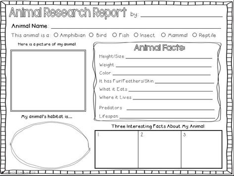 Animal Report Template (8) - TEMPLATES EXAMPLE | TEMPLATES EXAMPLE 1st Grade Research Project, 1st Grade Animal Research Project, Animal Research Graphic Organizer, 3rd Grade Animal Research Project, Zoo Animal Unit Study, Animal Research Projects For Kids Free, Animal Diorama, Animal Report Template, Animal Research Project