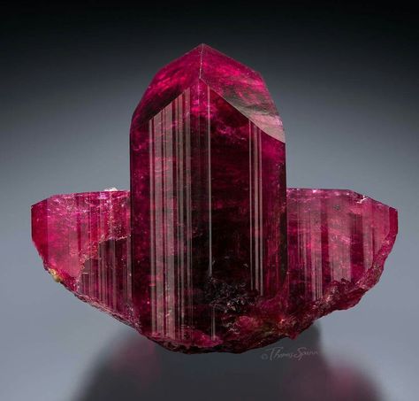 Liddicoatite Tourmaline - Tamponilapa, Madagascar - 4cm  This little gem, which we call "The Hat," is only around 4cm in size, but it has a presence in the cabinet that far outweighs its size. It is a deep raspberry red, with a perfect termination and strongly striated prism faces. This beauty formerly belonged in the famed Gerhard Wagner tourmaline collection, and it is featured on the back cover of the book showcasing his collection (The World of Tourmaline - The Gerhard Wagner Collection).  . Liddicoatite Tourmaline, Alyssa Targaryen, Magical Castle, Red Tourmaline, Raspberry Red, Green Mountain, Rocks And Gems, Tourmaline Crystal, Gems And Minerals