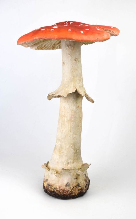 Carved Porcelain, Different Cultures Around The World, Ceramic Shapes, Cultures Around The World, Mushroom Pictures, Mushroom Crafts, Amanita Muscaria, Gouache Paint, Mushroom Fungi