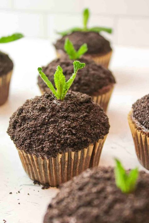 Plant Themed Baked Goods, Plant Theme Desserts, Nature Inspired Cupcakes, March Cupcake Ideas, Science Themed Baked Goods, Earth Day Cupcakes Ideas, Earth Day Party Food, Earth Party Theme, Plant Themed Cupcakes