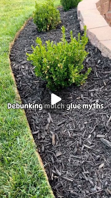 Mulch Glue, Garden Mulch, Front Lawn Landscaping, Mulch Landscaping, Lawn And Landscape, Front Lawn, Unique Gardens, Video Credits, Modern Landscaping