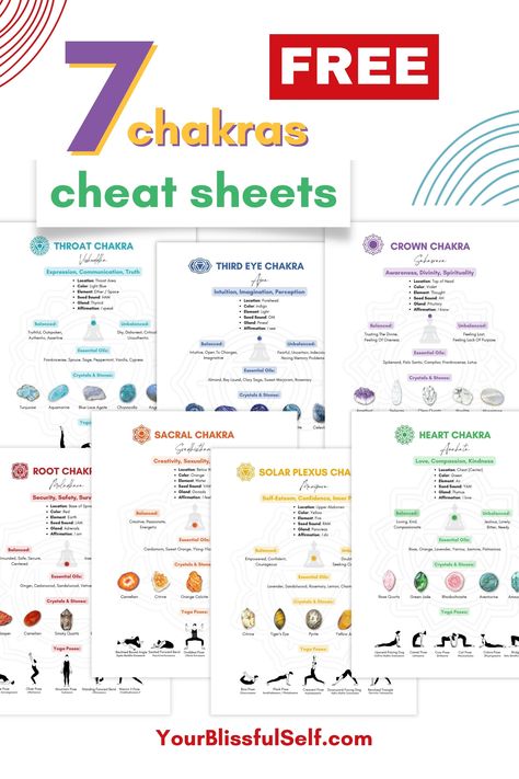 Chakras Cheat Sheet, The Chakras Explained, 7 Main Chakras, Essential Oil Chakra Chart, Essential Oils And Chakras, All About Chakras, Chakra Meanings Chart, Reiki Chakra Chart, Mantras For Each Chakra