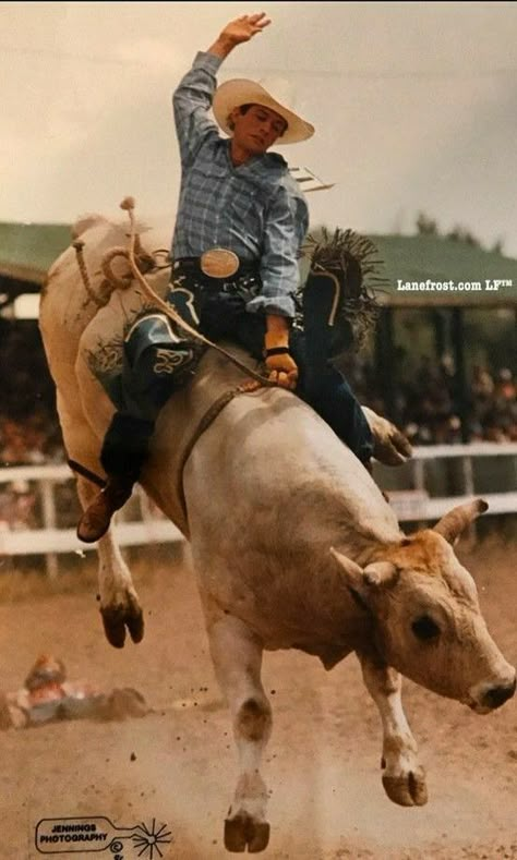 Bull Riding Rodeo Pbr Bull Riders, Pbr Bull Riding, Lane Frost, Bucking Bulls, Rodeo Time, Rodeo Cowboys, Bull Rider, Cowboy Aesthetic, Cowboy Stuff