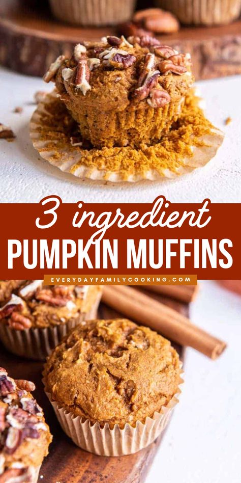 Try this 3-ingredient pumpkin muffins for a simple fall food recipe! You can make this soft, tender, and spicy-sweet morsels in just 45 minutes! This is one of the easiest pumpkin muffins recipes you’ll ever make! Save this pin now and enjoy a simple pumpkin dessert! Canned Pumpkin Muffins Easy, Clean Pumpkin Muffins, 3 Ingredient Pumpkin Recipes, Few Ingredient Pumpkin Dessert, Three Ingredient Pumpkin Muffins, Quick And Easy Pumpkin Recipes, Easy Pumpkin Muffins 2 Ingredients, Pumpkin Bites Easy, Easy Pumpkin Puree Recipes Desserts