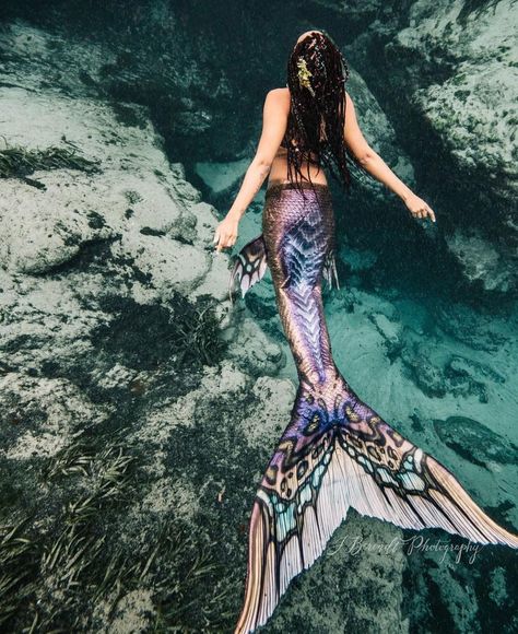 Pinterest: @ LOLAxxLOLA ————————gorgeous butterfly mermaid tail #mermaid #mermaidlife Ideas For Painting, Mermaid Costume, Under Water, A Mermaid, Mermaid Tail, Painting Acrylic, Mermaid, Water