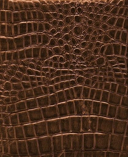 Brown Aesthetic Wallpaper Desktop, Aesthetic Wallpaper Desktop, Texture Cuir, Brown Aesthetic Wallpaper, Scale Skin, Leaf Vector, Skin Pattern, Backgrounds Wallpapers, Crocodile Skin