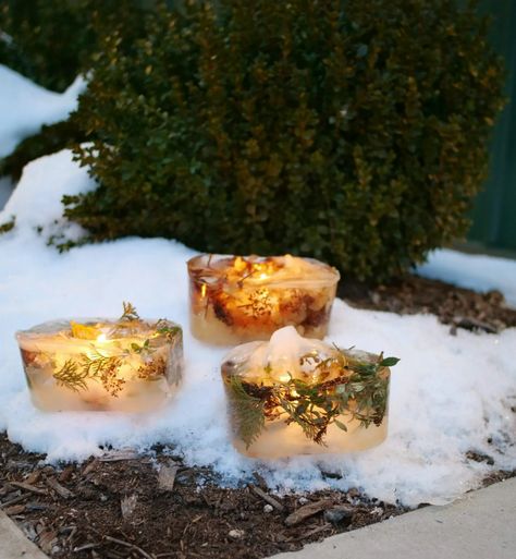 How to Make Ice Lanterns - My Proven Winners ColorChoices Ice Lanterns, Coffee Creamer Container, Creamer Container, Ice Art, Holiday Arrangement, Diy Lanterns, Butterfly Bush, Proven Winners, Winter Ideas