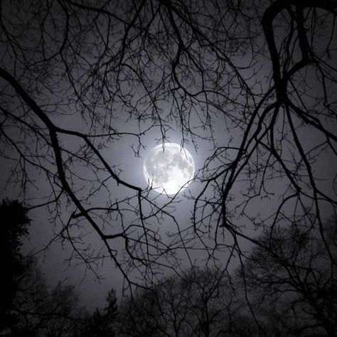 Grey Moon Aesthetic, Black Moon Aesthetic, Moon Fairy Aesthetic, Aesthetic Moon Pics, Moon Aesthetic Icon, Winter Icons Aesthetic, Moon Dark Aesthetic, Dark Moon Aesthetic, Moon Aesthetic Dark