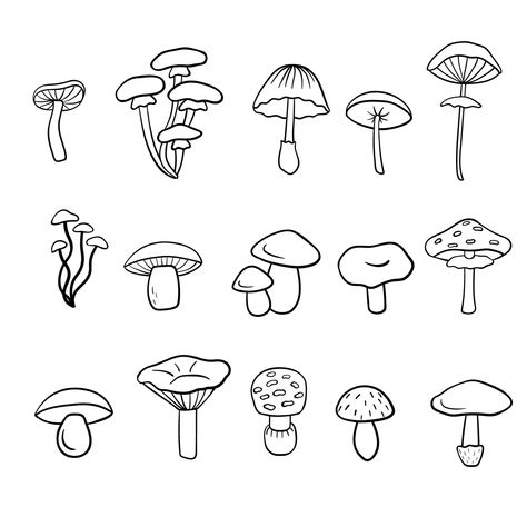 Mushroom Outline, Shimeji Mushroom, Artistic Sketches, Mushroom Stock, Cartoon Mushroom, Dibujos Tattoo, Label Packaging, Mushroom Tattoos, Easy Drawing Steps