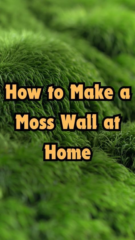 Ever thought about adding a moss wall to your home? It could cut indoor air pollutants by half. Indoor Moss Garden Diy, Diy Living Moss Wall Art, Indoor Plant Wall Diy, Moss Interior Design, How To Make A Moss Wall, Moss Home Decor, Moss Wall Art Diy How To Make, Diy Living Wall Indoor, Moss Wall Diy