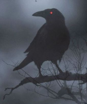 The truth revealed, with proof ahead- When the raven's eye glows red. Red Crow Aesthetic, Raven Pfp Bird, Demon Raven, Raven Background, Raven Magic, Red Crow, Raven Halloween, Red Raven, Black Crow