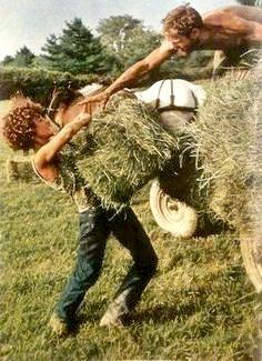 Buck Hay Bales Linda Mccartney, Hay Bales, Ranch Life, Farms Living, Down On The Farm, Rural Life, New Haven, Old Farm, Country Farm