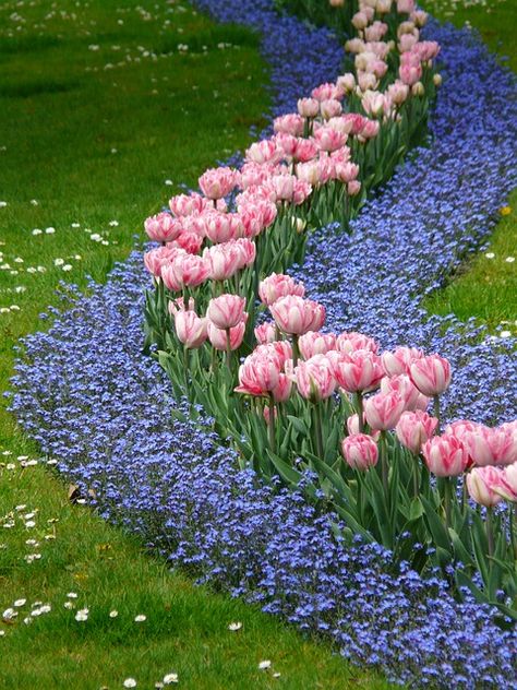 Garden Bulbs, Tulips Garden, Garden Yard Ideas, Front Yard Garden, Front Yard Landscaping Design, Garden Cottage, Backyard Landscaping Designs, Spring Garden, Dream Garden