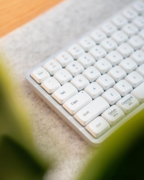 The current mouse and keyboard of choice, @lofree.co Flow & @logitech Lift. If you’re thinking of getting any of these 2, I would highly recommend them. The Lofree Flow has surprised me so much in its build quality, definitely the most premium pre-built mechanical keyboard I have ever used, as well the sound is so satisfying. I did only just purchase the Nuphy Air 75 V2 and though I do love the design of the keycaps for that keyboard, the Flow has taken its place very quickly. I have alre... Logitech Lift, Mouse And Keyboard, So Satisfying, Surprise Me, Mechanical Keyboard, Do Love, Logitech, The Sound, Keyboard