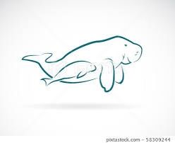 Dugong Tattoo, Simple Manatee Tattoo, Manatee Tattoo, Turtle Drawing, Tattoo Simple, Dream Tattoos, Fine Line Tattoos, Line Tattoos, My Photo Gallery