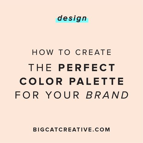 BY BIG CAT CREATIVE           Hey there DIY designers! So, this Logos, Design Process Steps, Palette Design, Business Marketing Plan, Logo Type, Business Essentials, Color Palette Design, Creative Colour, Branding Your Business