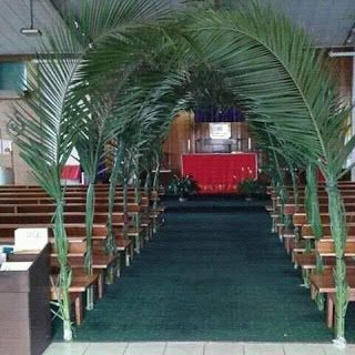 Welcome to Muoghalu Ebere Favour's Blog: Photo:Palm Sunday Church decoration Happy Palm Sunday, Palm Sunday Decorations, Church Altar Decorations, Church Easter Decorations, Resurrection Sunday, Sunday Church, Church Stage Design, Church Flower Arrangements, Deco Nature