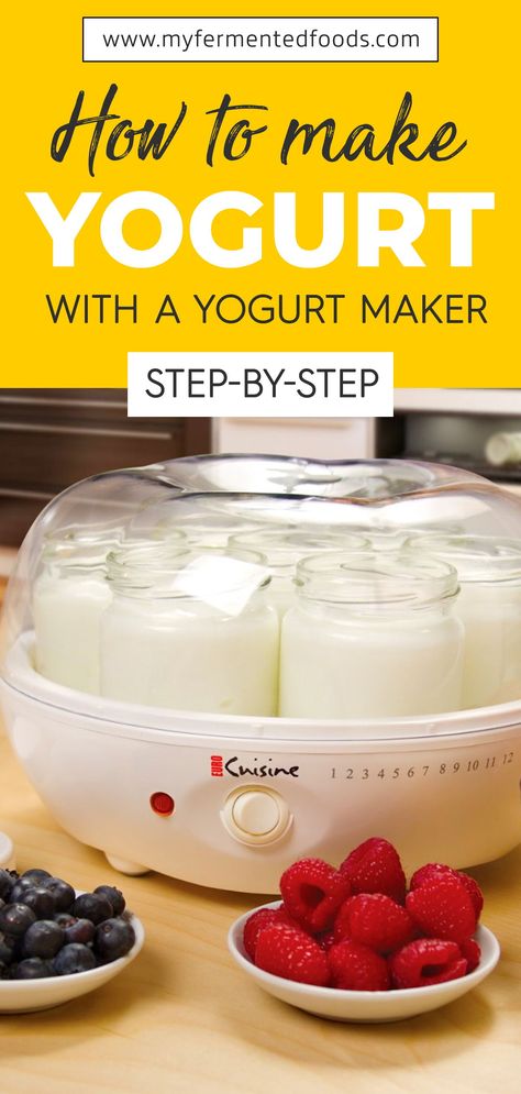 Find out how you can make yogurt with a yogurt maker. Yogurt has many beneficial probiotics and homemade yogurt is a lot healthier than store bought yogurt. Learn to make yogurt very quickly with a yogurt maker. #MyFermentedFoods #FoodProcessor #FoodMaker #Yogurt #MakingYogurt #Dairy #Milk #Kitchen Greek Yogurt In Yogurt Maker, Homemade Yogurt Recipes Yogurt Maker, Yogurt Flavor Ideas, Yogurt Machine Recipes, How To Flavor Homemade Yogurt, Bear Yogurt Maker Recipes, Yogurt Maker Machine, Non Dairy Yogurt Recipe, Making Yogurt Homemade