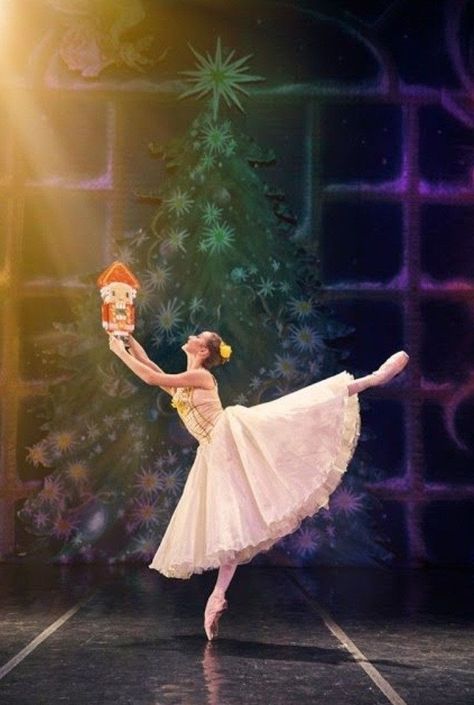 Nutcracker Art, Nutcracker Image, Ballet The Nutcracker, Ballet Illustration, Ballerina Illustration, Vaganova Ballet, Vaganova Ballet Academy, Christmas Ballet, Ballet Posters