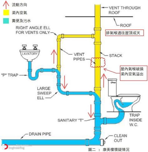 Important Details Of Plumbing System Installation - Engineering Discoveries Toilet Plumbing, Plumbing Vent, Plumbing Diagram, House Plumbing, Plumbing Layout, Residential Plumbing, Bathroom Dimensions, Plumbing Problems, Plumbing Drains