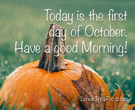 First Of October Quotes, Good Morning October 1st, Good Morning October Images, First Day Of October Quotes, Good Bye September Hello October, October Welcome Quotes, Happy October Images, Welcome October Month, October Quotes Month