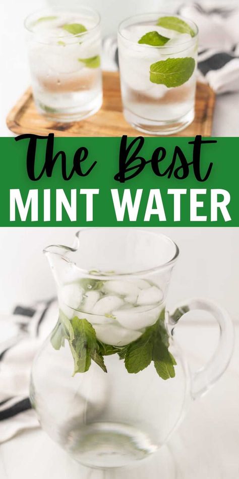 Mint Infused Water Recipes, Mint In Water, Mint Water Recipes, Water With Mint Leaves, Mint Infused Water, Herbal Water, Mint Recipes Drink, Drinks With Mint, Fresh Mint Drinks