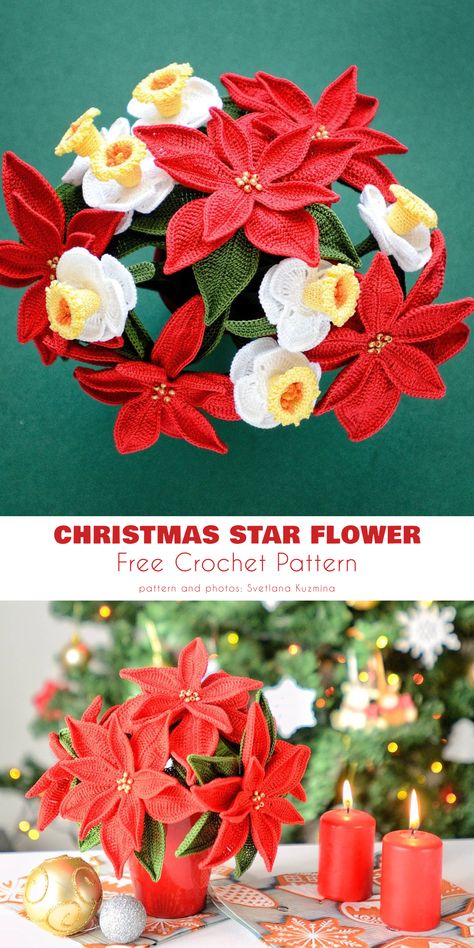 Christmas star flower free crochet pattern. Crochet Small Poinsettia Free Pattern, Free Crochet Poinsettia Flower Pattern, Crochet Christmas Flowers Free Pattern, Crochet Poinsettia Free Pattern Christmas Flowers, Crochet Pointsetta Flower, Christmas Flower Crochet, Crochet Christmas Stars Free Pattern, Poinsettia Crochet Pattern Free, Crochet Christmas Flowers