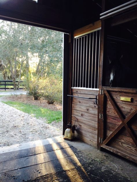 Help I've Fallen and I Cant' Giddy-Up Horse Stables Aesthetic, Western Stable, Stall Aesthetic, Stable Ideas, Dream Stables, Dream Horse Barns, Horse Barn Plans, Horse Facility, Best Barns