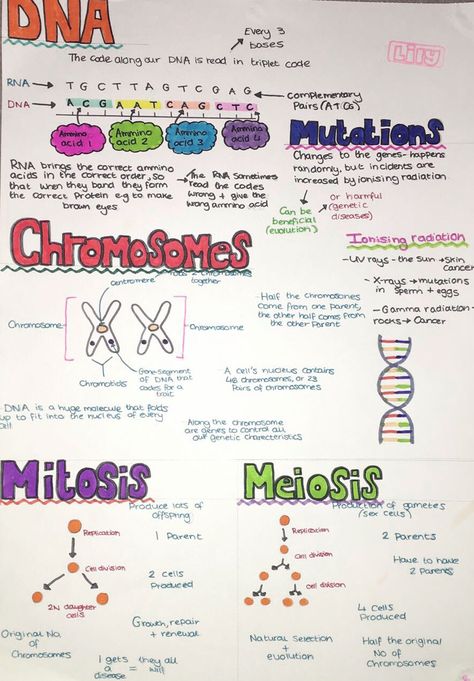 #lilysrevisionnotes #biology #gcse #cells #dna Dna Notes Biology Aesthetic, Dna Study Notes, Biology Revision Gcse Mitosis, Structure Of Dna Notes, Crimeology Notes, Biology Dna Notes, A Level Biology Lipids, Higher Human Biology Notes, Biology Notes Genetics