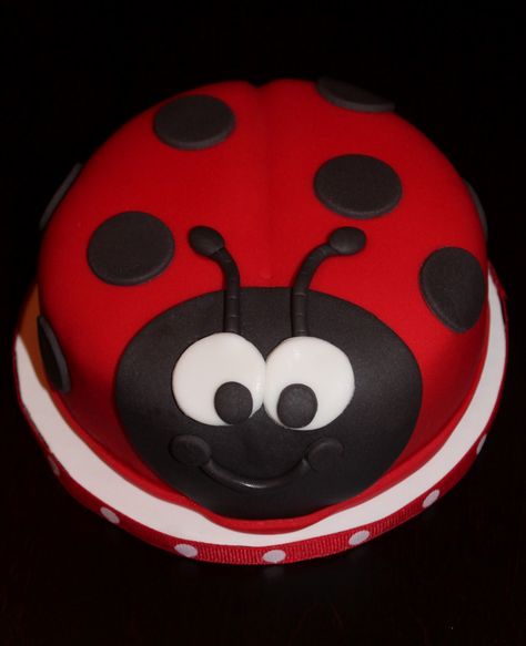 Ladybug Cake | Creative Cakes by Lynn: Ladybug Cake & Cupcakes Bug Birthday Cakes, Ladybird Cake, Ladybug Cakes, Bug Cake, Ladybug Cake, 3rd Birthday Cakes, Ladybug Birthday, Animal Cakes, Magic Cake