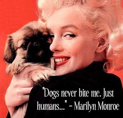 Marilyn Monroe .. Dogs never bite me, just humans Marilyn Monroe, A Woman, Dogs, Wall, Red