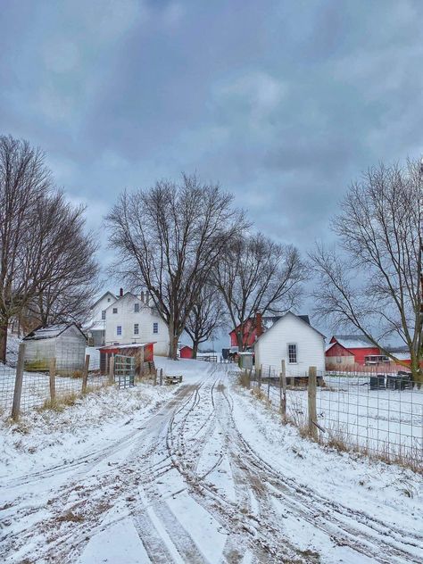 Winter Farm, Snow Painting, Swan Painting, Farmhouse Pictures, Farm Pictures, Barn Pictures, Winter Landscape Painting, Farm Lifestyle, Barn Painting