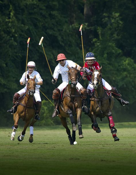 Here's Tom playing polo! He may be an arrogant brute, but I still love him. :) Polo Horse, Sport Of Kings, Polo Match, Equestrian Lifestyle, Polo Pony, Equestrian Sports, Equestrian Life, Equestrian Outfits, Polo Club