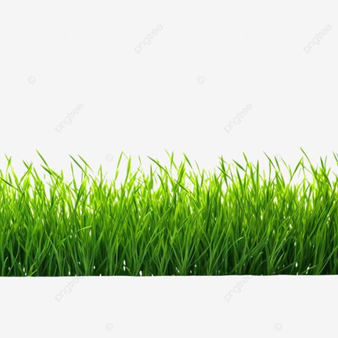 Green Grass, Mood Board, Green