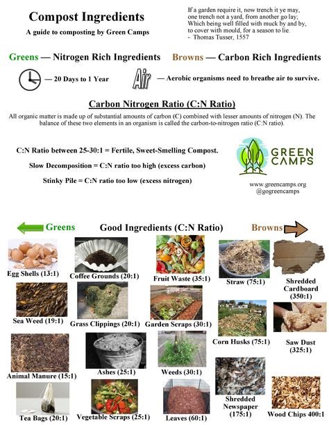 Natural Nitrogen For Plants, Nitrogen For Plants, Start Composting, Vegetable Garden Tips, Food Forest, Good Environment, Behavior Change, Food Garden, Fruit Garden