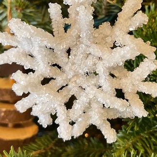 Crystal Tree Diy, Salt Crystal Snowflakes, Borax Crystal Ornaments, Crystal Ornaments Diy, Borax Crystals Diy, Borax Snowflakes, Epsom Salt Crystals, Diy Crystal Crafts, Snowflake Diy