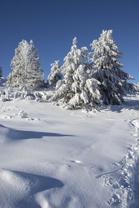 Winter landscape of Vitosha Mountain, Bulgaria royalty free stock image Vitosha Mountain, Sofia City, Winter Landscape, Bulgaria, Stock Images Free, Sofia, Photo Image, Royalty, Royalty Free