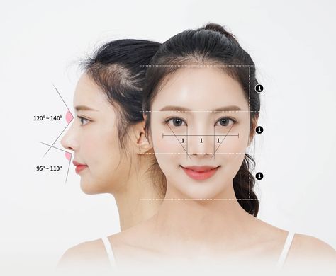 Golden ratio for female Asian noses Asian Nose Reference, Golden Ratio Face Women, Wide Nose Women, Korean Nose Job, Rhinoplasty Asian, Perfect Nose Shape, Korean Nose, Dream Nose, Asian Makeup Before And After